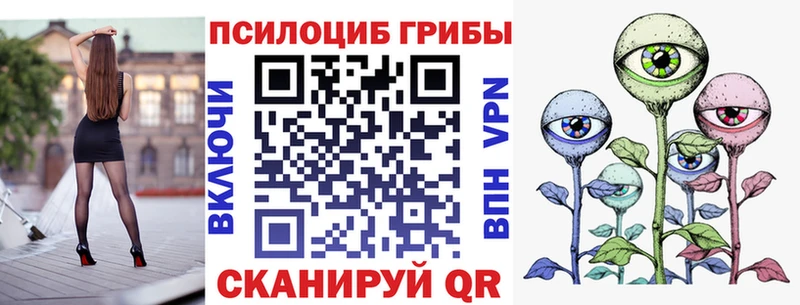 Купить закладки  Гагарин  Галлюциногенные грибы Magic Shrooms 